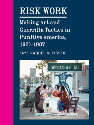 cover image of Risk Work
